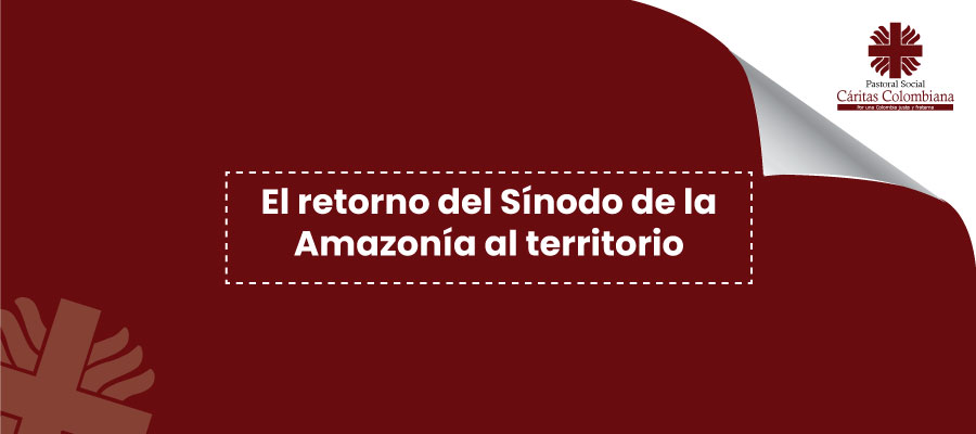 El retorno del Sínodo de la Amazonía al territorio