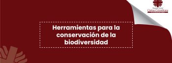 Herramientas para la conservación de la biodiversidad