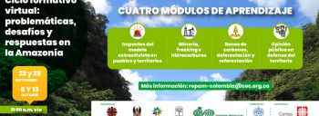 Ciclo formativo virtual: problemáticas, desafíos y respuestas de la Amazonía
