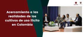 Acercamiento a las realidades de los cultivos de uso ilícito en Colombia
