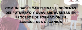 COMUNIDADES CAMPESINAS E INDÍGENAS DEL PUTUMAYO Y GUAVIARE AVANZAN EN PROCESOS DE FORMACIÓN EN AGRICULTURA ORGÁNICA
