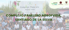 COMPLEJO PANELERO AGROFVIDA, SANTIAGO DE LA SELVA
