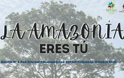 Boletín La Amazonia eres Tú