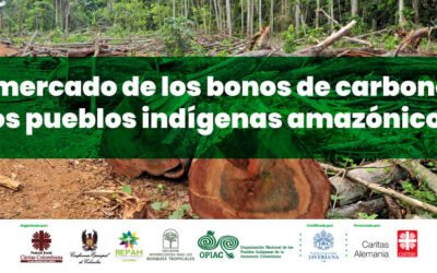 El mercado de los bonos de carbono y los pueblos indígenas amazónicos