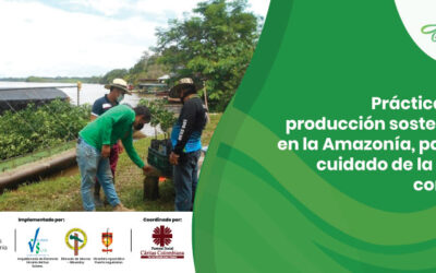 Prácticas de producción sostenible en la Amazonía, para el cuidado de la casa común