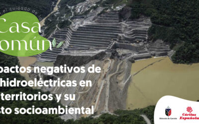 Impactos negativos de las hidroeléctricas en los territorios y su costo socioambiental