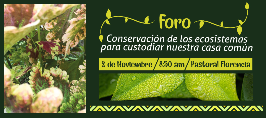 En Florencia se realizará el Foro: conservación de los ecosistemas para custodiar nuestra casa común
