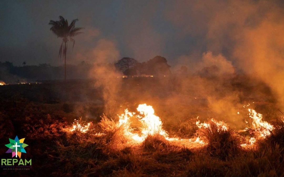 REPAM sobre incendios en la Amazonía: “Que se ponga fin a esta situación”