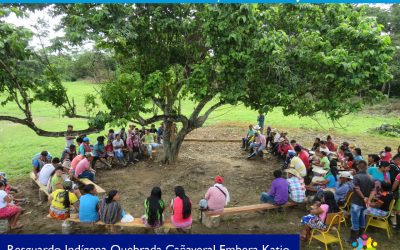 Comunidad Embera Katio ratifica elección y posesión de sus autoridades