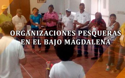 Reencuentro de organizaciones pesqueras en el Bajo Magdalena
