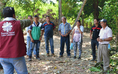 Cacaoteros de Sardinata aprenden técnicas integrales de manejo de cultivos
