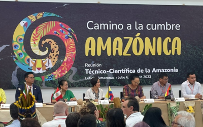 REPAM Colombia y el programa Nuestra Amazonía participan en la precumbre Amazónica.