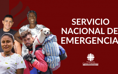 ¿Cómo puedo pedir ayuda al Servicio Nacional de Emergencia?