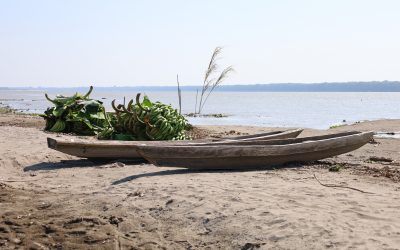 IMPACTO A LA SEGURIDAD ALIMENTARIA EN LA AMAZONÍA: UN PANORAMA DESALENTADOR EN LA MAYOR SEQUÍA DE LA CUENCA