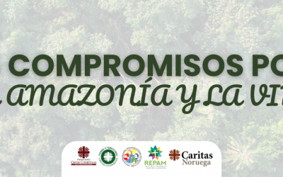 Cumbre Amazónica: 35 compromisos para la defensa de la vida y la Casa Común