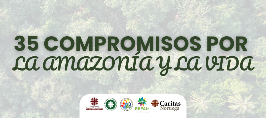 Cumbre Amazónica: 35 compromisos para la defensa de la vida y la Casa Común