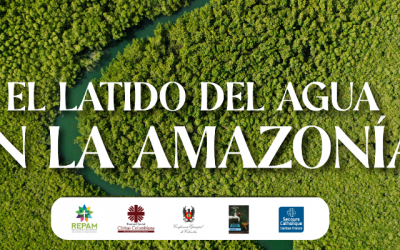 El latido del agua en la Amazonía: la disputa por la vida en la Casa Común