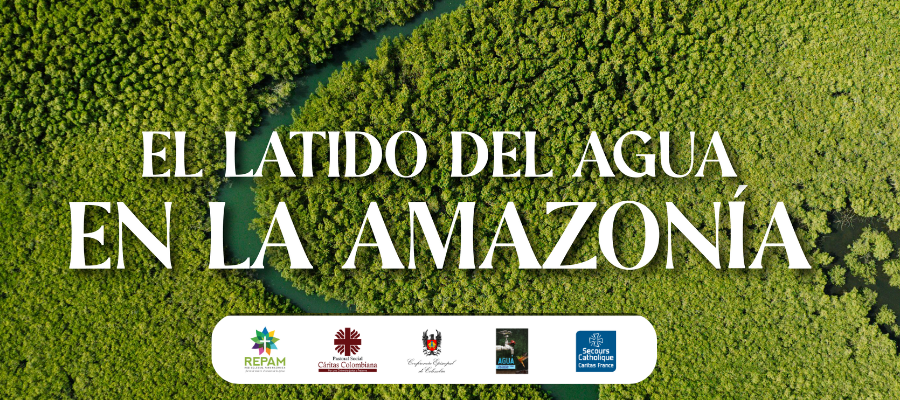 El latido del agua en la Amazonía: la disputa por la vida en la Casa Común