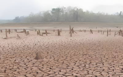 Día Internacional del Migrante: la movilidad humana forzada por el cambio climático nos interpela como humanidad 