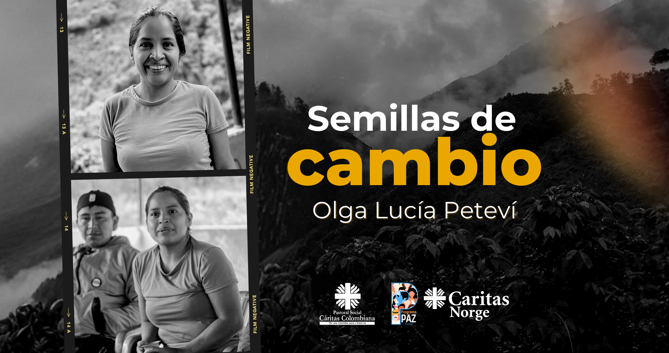 semillas de cambio banner pagina web